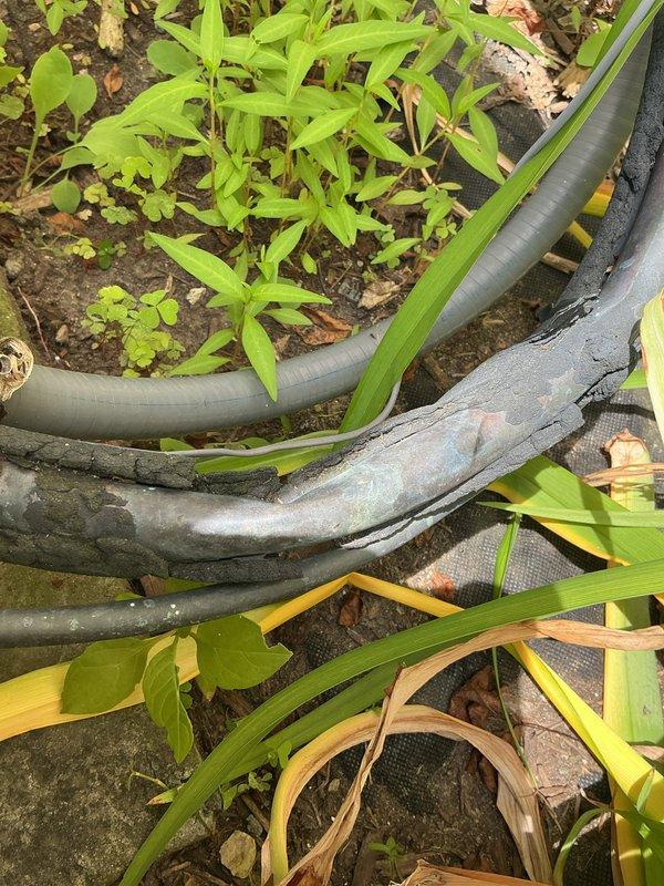 # No Cooling - 20 Year Old System

Responded to service call for AC unit running but not producing cold air affecting entire home. Upon arrival, found outdoor condensing unit operational with fan running and compressor attempting to cycle. 

Performed visual inspection of 20-year-old cylindrical condenser unit positioned on concrete pad against building exterior. Noted severely deteriorated refrigerant line insulation with multiple cracks, splits, and complete separation from copper lines in several locations. Weathered insulation exposed bare refrigerant lines to ambient temperature, resulting in significant heat gain on suction line and compromised system efficiency.

Checked electrical connections at outdoor unit - all secure with proper voltage readings. Measured temperature differential across coil and found inadequate cooling performance. Observed compressor short-cycling behavior indicating possible refrigerant charge issue or system restriction.

Given age of equipment (20 year