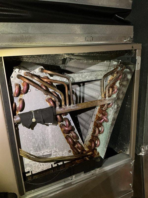 Completed annual cooling maintenance on Bryant air conditioning system. Replaced air filter, inspected condensing unit exterior condition and evaporator coil which showed significant corrosion and oxidation on copper refrigerant lines indicating age-related deterioration. All components operational at time of service completion.