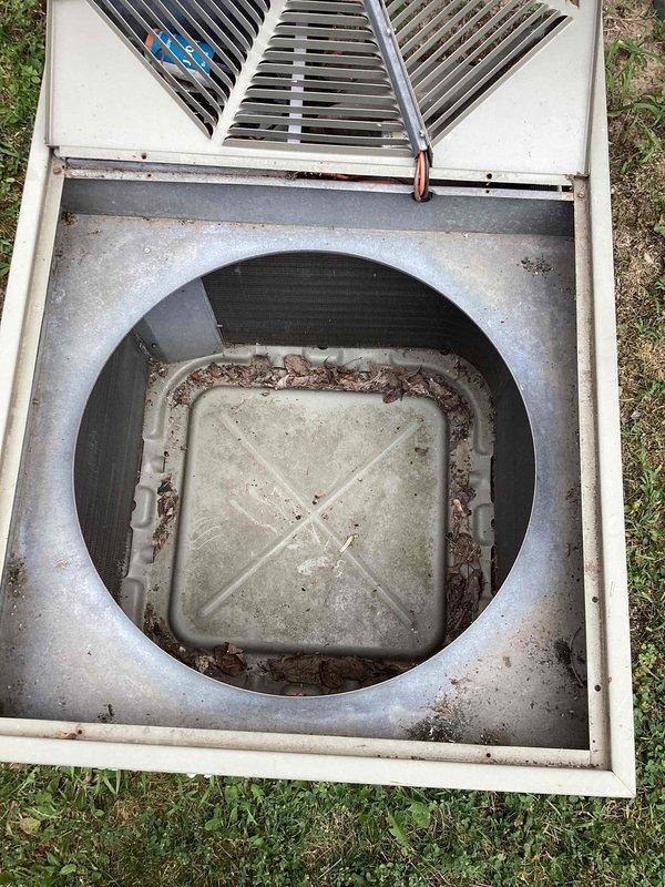 Completed annual maintenance on outdoor condensing unit. Removed accumulated debris, leaves, and organic matter from condensate drain pan and interior housing. Inspected fan grilles and refrigerant lines for proper operation. Unit operational upon completion of cleaning and inspection.