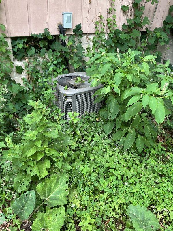 Responded to service call for thermostat error code on basement HVAC system. Upon arrival, performed diagnostic inspection of outdoor condenser unit and found equipment heavily obstructed by overgrown vegetation including vines, shrubs, and ground cover plants restricting airflow to unit. Cleared vegetation from around condenser to restore proper clearance for adequate air circulation and prevent potential overheating or efficiency issues. Inspected condenser coils, fan operation, and electrical connections—all components functioning within normal parameters. Cleared error code from thermostat after verifying system operation. Advised homeowner on importance of maintaining minimum 24-inch clearance around outdoor unit and recommended regular vegetation management to prevent future airflow restrictions and maintain optimal system performance.