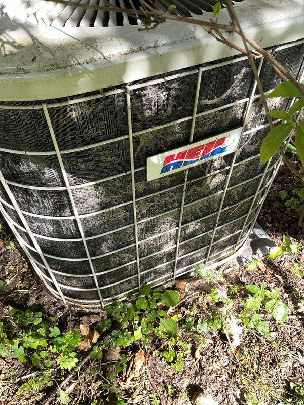 Completed annual cooling maintenance on outdoor condenser unit. Unit exhibited significant dirt accumulation on coils and exterior surfaces, along with vegetation overgrowth around base perimeter. Performed thorough inspection of all accessible components, cleaned condenser coils, cleared debris and vegetation from around unit to ensure proper airflow and operation. System operational upon completion with no deficiencies noted.