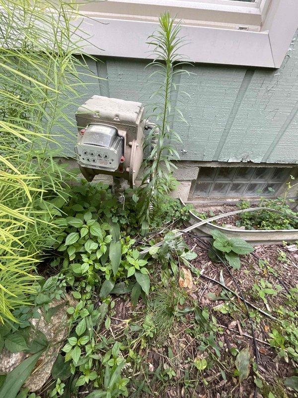 Conducted site assessment for whole home generator installation. Evaluated existing electrical service entrance and meter location on exterior wall, noting overgrown vegetation requiring clearance for proper equipment access and ventilation compliance. Documented current utility infrastructure including water heater positioning in basement to determine optimal generator placement, fuel line routing, and transfer switch installation requirements. Assessment completed to provide comprehensive electrical estimate for Kohler/Generac generator system integration with existing residential electrical service.