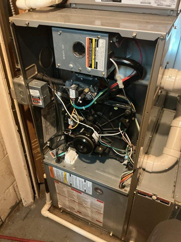 Completed annual HVAC maintenance on Bryant system including interior furnace inspection and exterior condenser unit evaluation. Inspected blower motor assembly, electrical connections, control components, and condensate drainage system; verified all wiring connections secure and manufacturer labels intact. Examined outdoor condenser unit for proper operation, checked refrigerant lines, cleared debris from surrounding area, and confirmed unit sitting level on concrete pad with adequate airflow through exterior grille and fan guard.