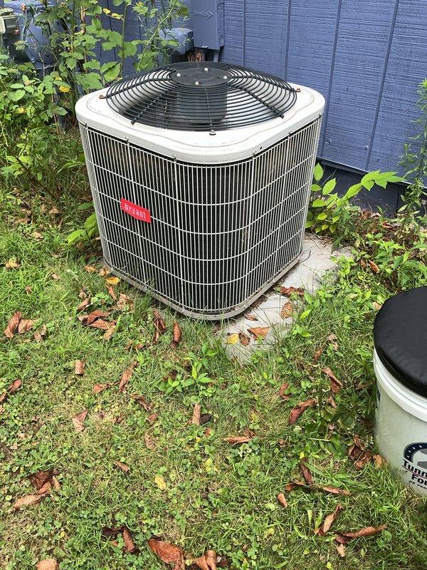 Completed annual HVAC maintenance on Bryant system including interior furnace inspection and exterior condenser unit evaluation. Inspected blower motor assembly, electrical connections, control components, and condensate drainage system; verified all wiring connections secure and manufacturer labels intact. Examined outdoor condenser unit for proper operation, checked refrigerant lines, cleared debris from surrounding area, and confirmed unit sitting level on concrete pad with adequate airflow through exterior grille and fan guard.