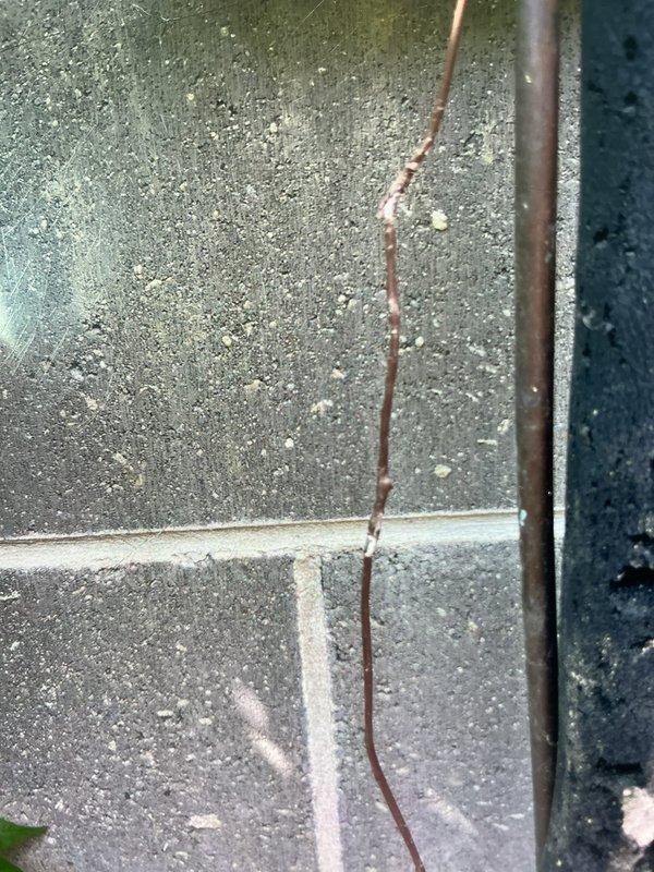 Responded to customer concerns regarding refrigerant levels on commercial A/C system. Performed comprehensive system inspection and refrigerant level assessment. Visual inspection revealed corroded refrigerant line set with evidence of deterioration and potential leak points at exterior piping connections. Documented system condition with photographic evidence showing compromised line insulation and weathered components requiring attention.