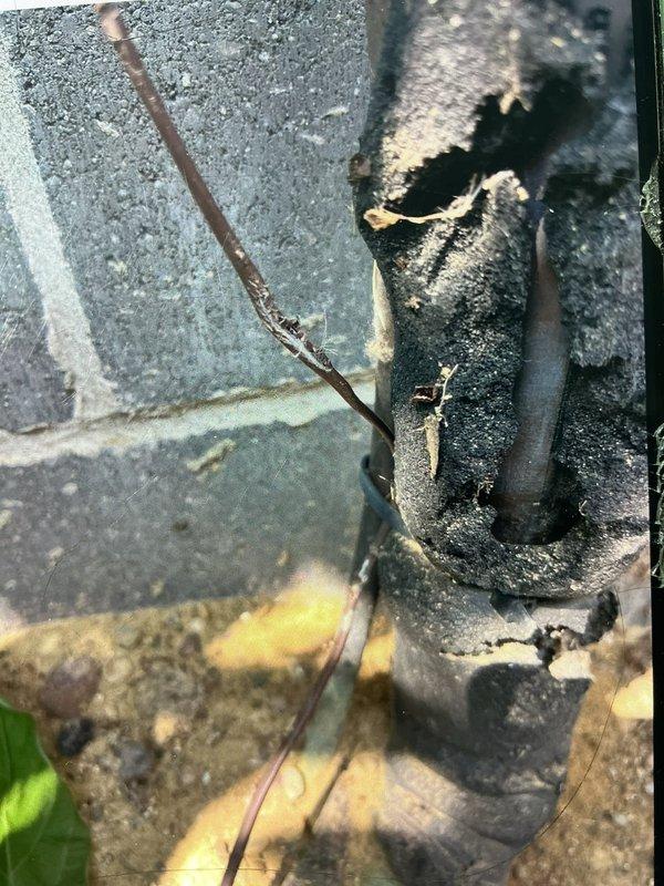Responded to customer concerns regarding refrigerant levels on commercial A/C system. Performed comprehensive system inspection and refrigerant level assessment. Visual inspection revealed corroded refrigerant line set with evidence of deterioration and potential leak points at exterior piping connections. Documented system condition with photographic evidence showing compromised line insulation and weathered components requiring attention.