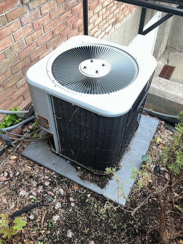 Performed routine furnace tune-up on Concord brand gas furnace with age unknown per homeowner request. Completed comprehensive inspection of furnace components including heat exchanger, burners, ignition system, blower assembly, and safety controls with all items found operating within normal parameters. Verified proper airflow through supply and return ductwork, checked filter condition, tested thermostat operation, and confirmed adequate combustion air supply and venting through PVC piping. Inspected electrical connections, disconnect switch, and control board functionality with no issues identified. Cleaned burner assembly and blower components as needed during service. Performed visual inspection of outdoor air conditioning condenser unit noting normal seasonal debris accumulation around base and on protective grilles but unit structurally sound and accessible for future service. All safety devices tested and confirmed operational including limit switches and flame sensor. System c