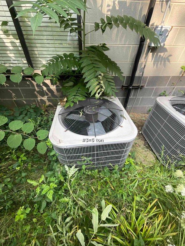 Conducted comprehensive site assessment of commercial HVAC system for complete equipment replacement. Evaluated four existing air conditioning units and four furnaces currently in service, documenting equipment conditions and placement locations. Inspected 5-ton condenser unit positioned in overgrown vegetation area and additional outdoor units on concrete pads adjacent to building structures. Assessment identified need for full system replacement to address aging equipment and operational concerns. Provided detailed replacement estimate for complete HVAC system upgrade including all condenser units and heating equipment.