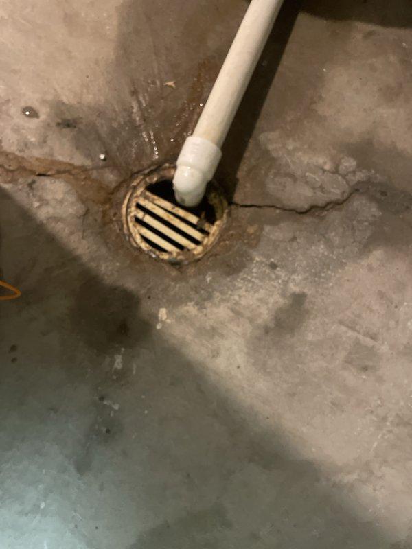 Successfully installed a new 40-gallon tanked water heater (model RG240T6N) in the basement utility area. Removed the existing unit and connected the new water heater with proper supply and discharge piping, including installation of code-compliant temperature and pressure relief valve with discharge pipe routed to the floor drain. Installed flexible metal vent pipe from the unit to the existing chimney connection to ensure proper exhaust ventilation. Completed all water supply connections, gas line hookup, and tested the system for proper operation and leak-free performance. Verified all safety devices were functioning correctly and the unit was heating properly before finalizing the installation.