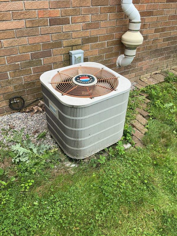Completed annual cooling maintenance on outdoor condensing unit. Upon inspection, discovered a large bird's nest built within the equipment housing around wiring and components. Removed nest material from unit to prevent potential electrical hazards, airflow restrictions, and equipment damage. Performed standard ACM protocol including inspection of condenser coils, fan assembly, electrical connections, capacitor, and condensate drainage system. All components found in operational condition following nest removal and cleaning. Unit tested and operating within normal parameters.