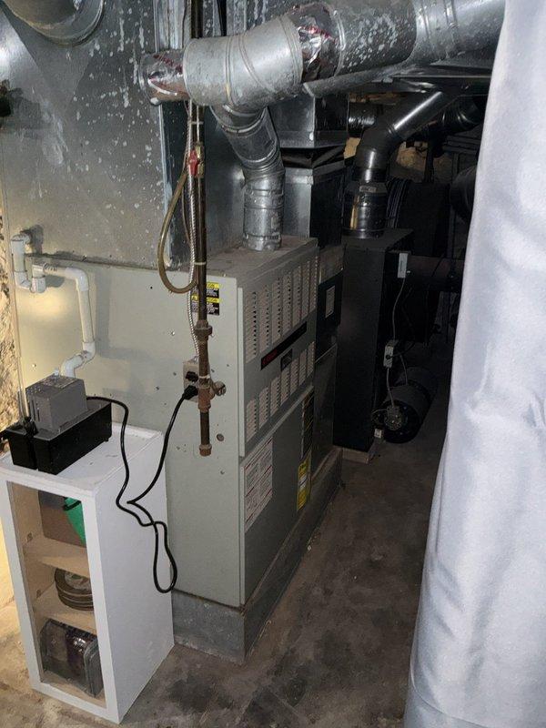 Completed full system estimate for 16-year-old furnace and air conditioning unit nearing end of expected service life. Inspected basement-mounted furnace with visible specification labels and connected ductwork, as well as exterior AC condenser unit with landscaping clearance. Provided replacement cost estimate and discussed pre-winter furnace maintenance options for system currently operating without issues.