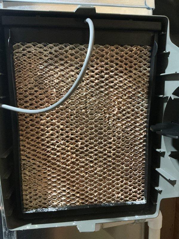 Completed routine maintenance on two-year-old heating and cooling systems with no reported issues. Performed comprehensive AC tune-up including inspection of all major components, verified refrigerant levels, and checked electrical connections. Inspected and documented humidifier evaporator pad condition showing normal operational wear with mineral deposit accumulation consistent with usage patterns. All systems tested and operating within manufacturer specifications upon completion.