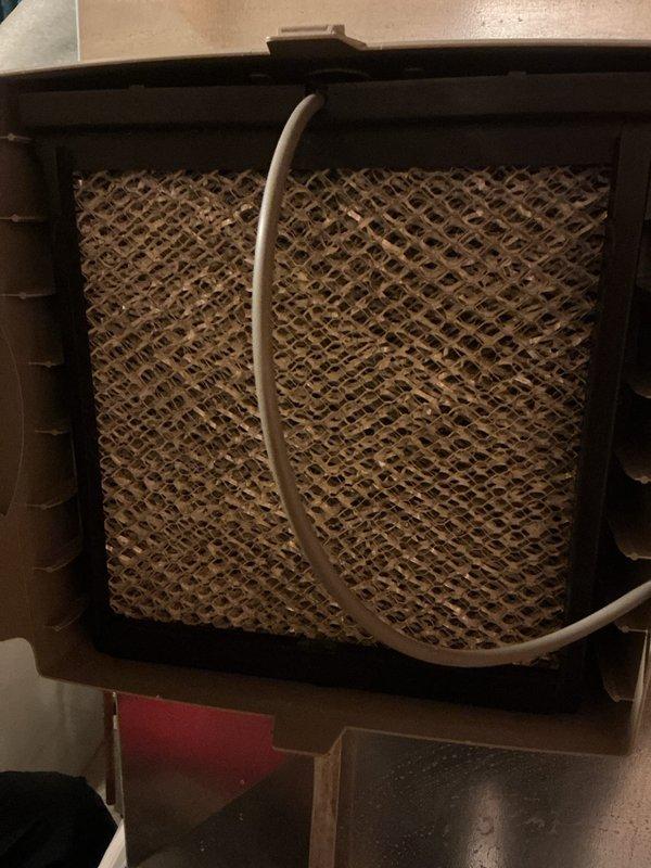 Completed annual furnace tune-up and inspection on 14-year-old heating system located in basement. Performed comprehensive maintenance including filter inspection, thermostat functionality check, and full system evaluation. Unit operating properly with no issues found; Bryant thermostat displaying accurate room temperature of 76° and responding correctly to controls.