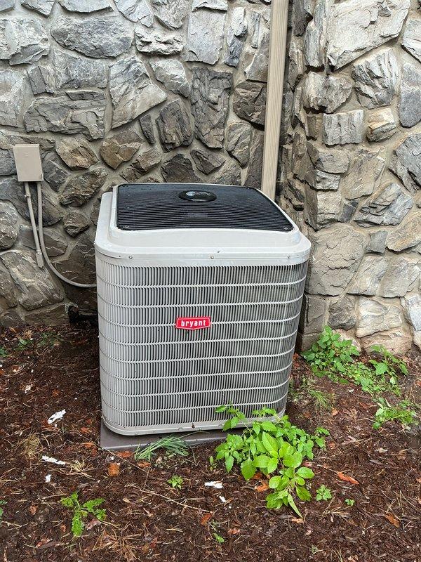 # Annual AC Tune-Up Completed

Performed comprehensive annual maintenance on a 10-year-old Bryant outdoor condensing unit. System was operating properly upon arrival. Completed full tune-up protocol including inspection of all major components, refrigerant line connections, electrical connections, and condenser coil condition. Verified proper fan operation and checked protective grille assembly. Unit exterior showed normal weathering for age. Noted vegetation growth around base of unit on concrete pad—recommended periodic clearing to maintain adequate airflow clearance. All safety controls tested and functioning within normal parameters. System left in optimal operating condition for cooling season.