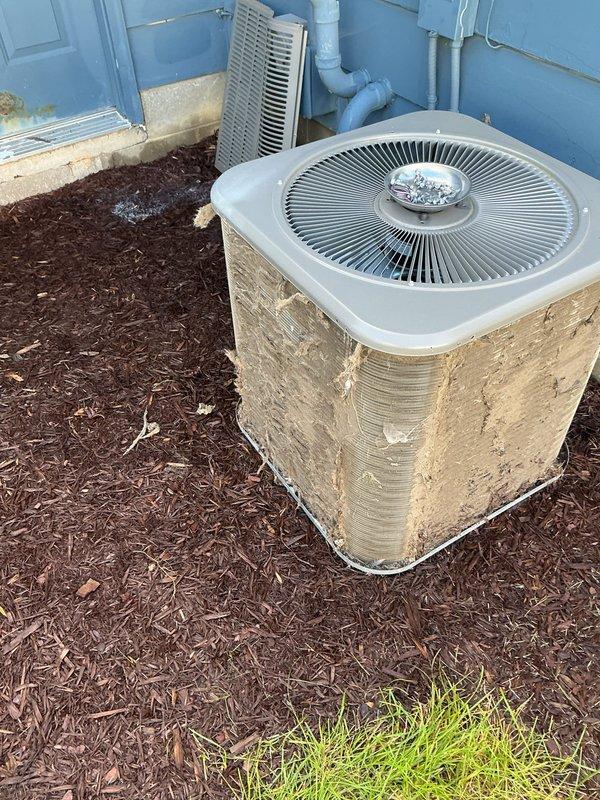 Completed annual HVAC maintenance on Lennox CX35-24B-6F-20 air conditioning system. Performed comprehensive inspection of outdoor condenser unit, verified proper operation of all components, and documented equipment condition with photographic records per standard maintenance protocol.
