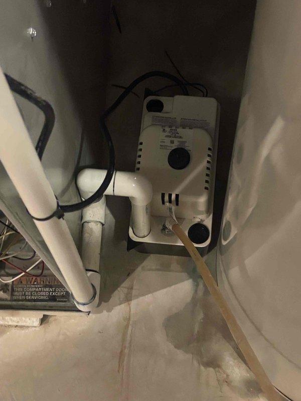 Provided estimate for furnace replacement in basement location. Current unit is a 1999 model that is still operational but nearing end of service life. Evaluated existing equipment configuration including condensate pump system, PVC drainage piping, and filter dimensions during assessment.