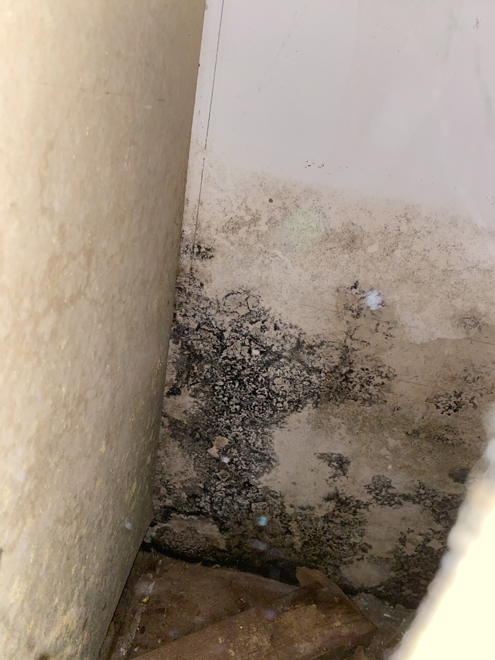 Elmore, AL - Got mold? Give Protek a call! We can handle all of your mold remediation and restoration needs. Here is one of our recent jobs near Wetumpka. Elmore, AL - Got mold? Give Protek a call! We can handle all of your mold remediation and restoration needs. Here is one of our recent jobs near Wetumpka.