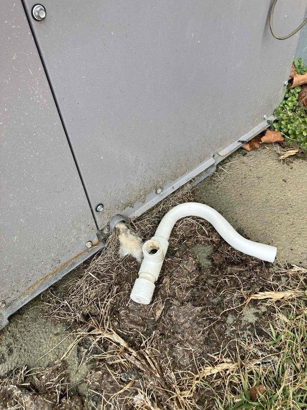 Responded to service call for frozen HVAC unit previously identified by Bryant technician. Inspection revealed excessive frost accumulation on evaporator coil and copper refrigerant lines, indicating potential refrigerant flow restriction or defrost system malfunction. Customer advised to contact their home warranty provider for further diagnosis and repair.