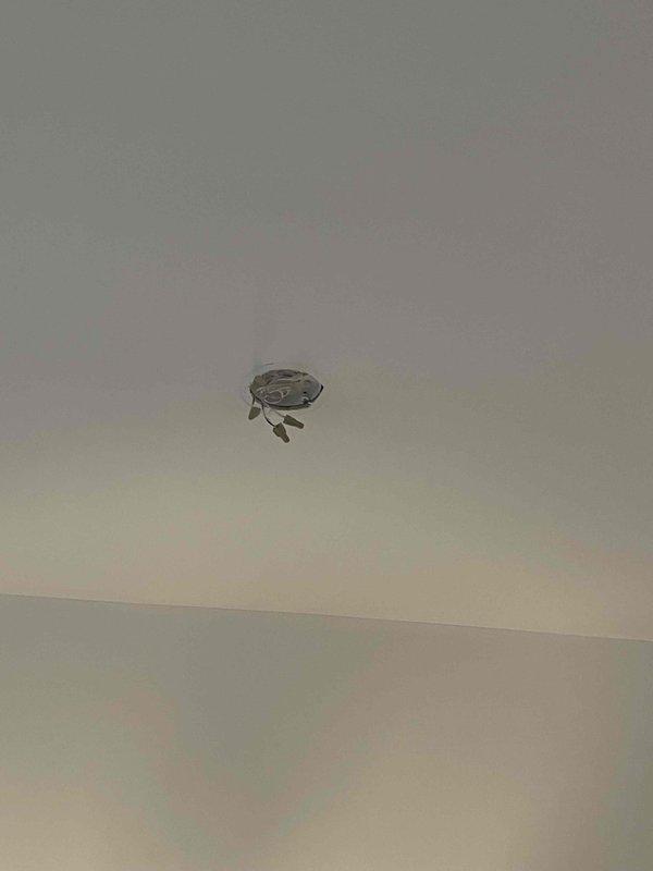 Performed comprehensive electrical installation services including mounting a chandelier in entryway, installing a light fixture near stairwell, and installing a ceiling fan with new junction box. Inspected main electrical panel to ensure proper circuit capacity and wiring integrity. All installations were completed according to code with proper mounting hardware and electrical connections.