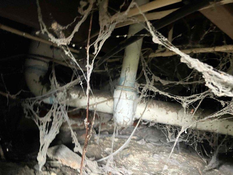 Responded to service call regarding buzzing circuit breaker. Upon inspection, discovered improperly installed electrical panel located above toilet with disorganized wiring connections. Documented extensive cobweb accumulation in crawl space indicating lack of regular maintenance. Discussed findings and recommended electrical panel relocation with property owner.