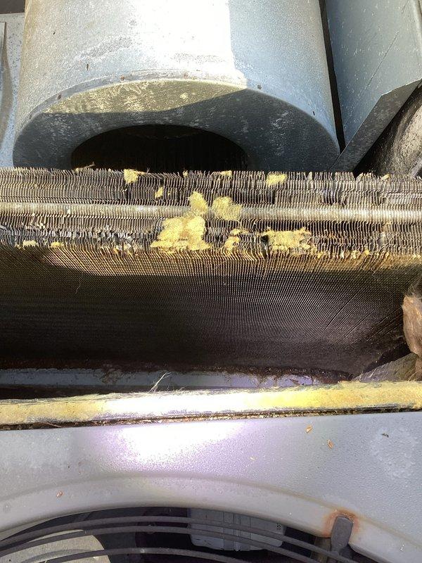 Completed comprehensive heating and air maintenance including 80-point inspection on all units. Performed outdoor coil cleaning, burner cleaning, and adjusted gas pressures to manufacturer specifications. Conducted full safety inspections on all system components. Documented evaporator coil condition showing debris accumulation on fins and verified electrical components including capacitors, contactors, and control wiring. All systems operating within normal parameters with no immediate concerns identified.