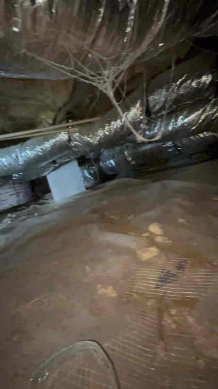 Completed comprehensive tune-up service on 6-year-old single HVAC system. Performed standard maintenance procedures including filter inspection, system diagnostics, and operational testing. Accessed unit through crawl space where main trunk line and branch ductwork were inspected; system found to be operating within normal parameters upon completion of service.