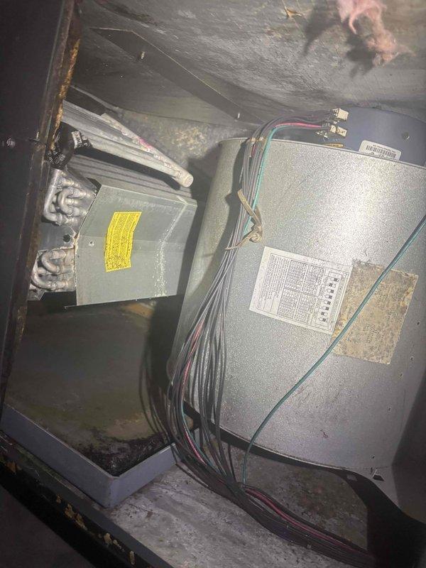 Responded to service call for 10-year-old HVAC system with multiple concerns. Inspected condensate drain line beneath house, found muddy accumulation and slime buildup indicating biological growth. Cleared drain line obstruction and verified proper drainage flow. Investigated pantry ductwork where homeowner had discovered organic growth and air gap between duct boot and exterior siding. Confirmed homeowner's foam sealant application was adequate and verified no additional air infiltration from attic space. Inspected attic-mounted air handler and associated equipment for overall condition. Tested system electrical components and verified capacitor reading of 619 MFD on outdoor condensing unit. Despite system age, unit is currently operational and homeowner declined replacement recommendation at this time. All immediate concerns addressed and system returned to normal operation.