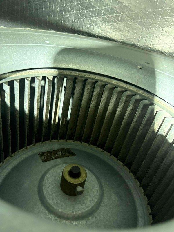 Completed comprehensive heating and air maintenance including 80-point inspection on HVAC system estimated to be from 2014. Performed outdoor coil cleaning, burner cleaning, and adjusted gas pressures to manufacturer specifications. Conducted full safety inspections and documented blower assembly condition showing accumulated dust and debris, along with attic-mounted ductwork and mechanical components.