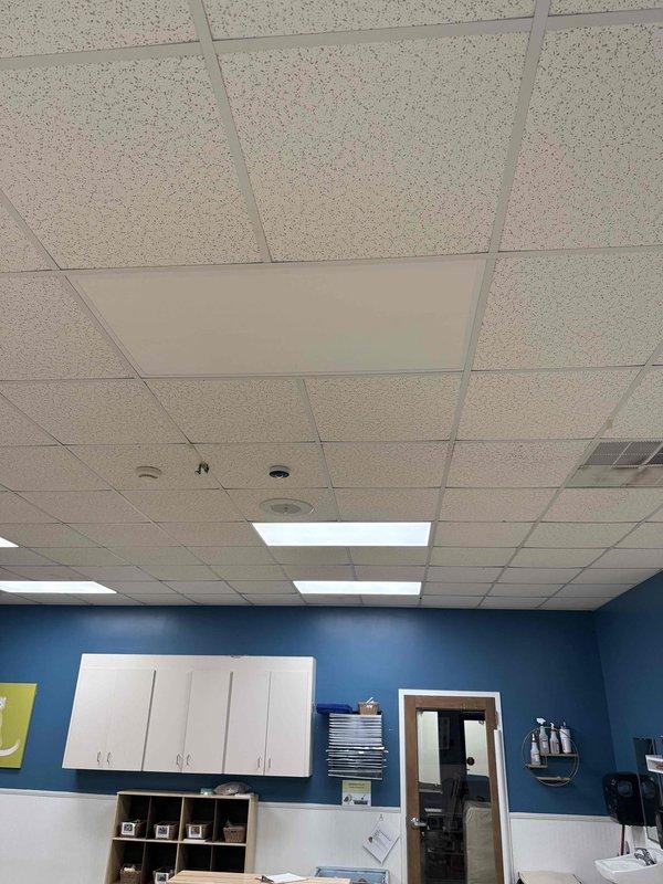 Replaced fluorescent light fixture in kitchen area and replaced lighting fixture in Penguin 2 room. Both fixtures were installed in drop ceiling systems at approximately 8-10 foot heights. Verified proper operation of all replacement lighting upon completion.