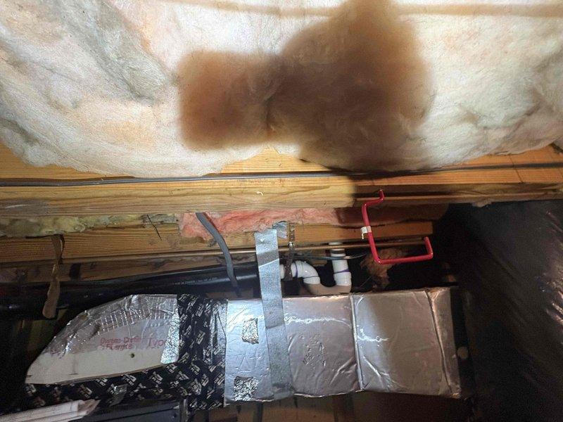 Responded to service call for newly installed HVAC system running but not delivering airflow. Upon inspection, identified blower motor or air handler operational issue in basement-mounted unit. Accessed attic ductwork system to verify proper installation and connections of supply plenum and trunk lines. Documented existing insulation conditions and HVAC equipment installation for possible recall investigation related to recent system installation.
