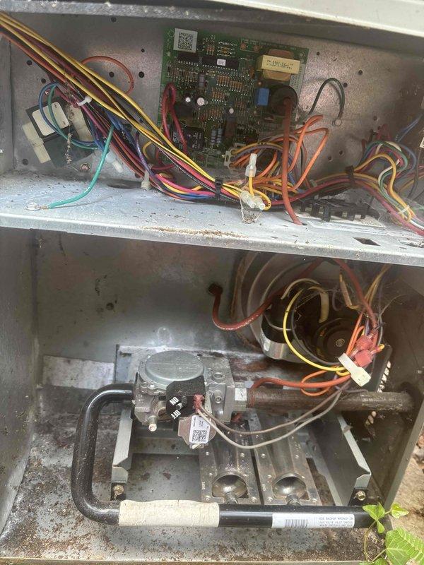 Completed comprehensive tune-up on 2013 HVAC system including inspection of furnace control board, gas valve assembly, burner components, and all electrical connections. Thoroughly inspected crawlspace ductwork and air handler unit per customer request regarding potential mold concerns; confirmed all ductwork and equipment surfaces are clean with no visible mold growth or biological contamination present. System tested and operating within normal parameters.