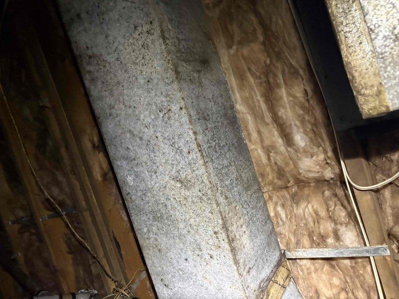 Responded to no cool complaint on an 8-year-old split system with reported reduced airflow described as "a little trickle." Upon arrival, performed full system evaluation including inspection of indoor air handler and ductwork system in attic space. Conducted visual inspection of supply ductwork, noting accumulated dust and debris on metallic duct surfaces, and examined insulation integrity and structural support components. Assessed airflow restrictions, checked filter condition, and inspected blower assembly operation. Verified refrigerant lines, condensate drainage, and electrical connections throughout the system. Evaluated duct sealing and connection points to identify potential air leakage contributing to inadequate cooling performance and reduced airflow to living spaces.