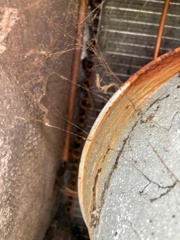 Responded to no cooling complaint on 10-year-old system. Upon inspection, found evaporator coil heavily soiled with dust and debris accumulation in attic unit, restricting airflow. Outdoor condensing unit showed signs of age with rust formation on cabinet and grille, though fan operation appeared normal. Documented equipment condition with photos showing compromised coil cleanliness and outdoor unit deterioration requiring attention to restore proper cooling capacity.