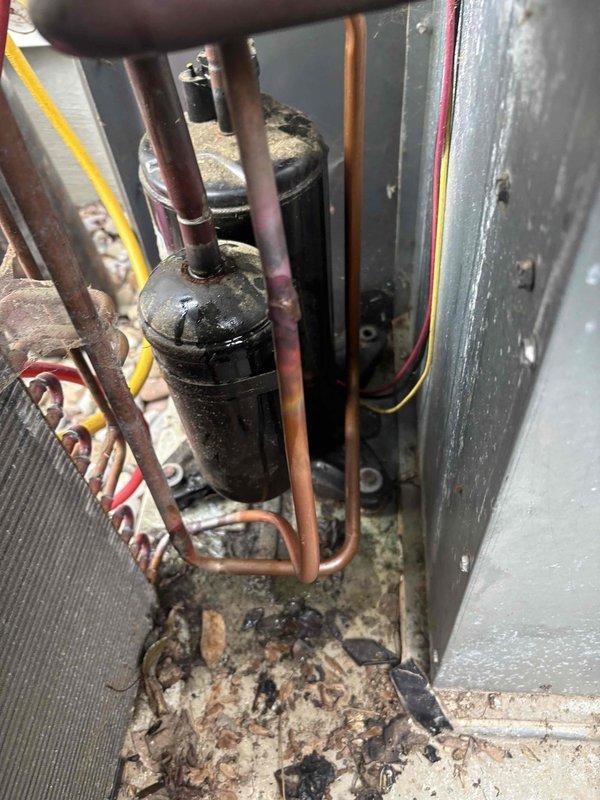 Responded to service call for outdoor unit experiencing short cycling and unusual noises during startup attempts. Upon arrival, performed diagnostic evaluation of 2022 HVAC system. Removed top panel and accessed internal components to inspect compressor, capacitor, electrical connections, and refrigerant lines. Connected manifold gauges to assess refrigerant pressures and system operation. Visual inspection revealed significant debris accumulation in base of unit including dirt, leaves, and organic matter. Examined copper refrigerant lines, electrical wiring connections, and compressor housing for signs of failure or damage. Documented component condition through photography showing weathered copper lines, electrical connections, and internal debris buildup. Tested system operation to replicate reported short cycling condition and identify root cause of startup failure.