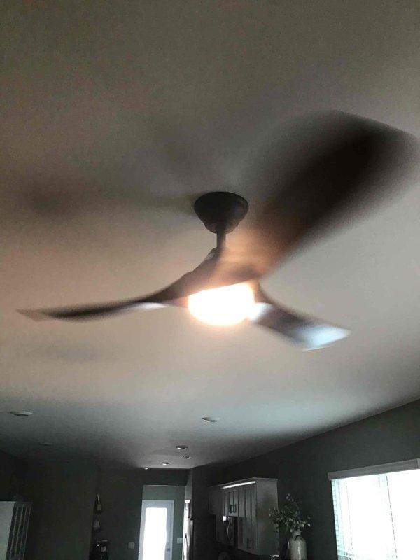 Successfully installed four ceiling fan fixtures in a newly constructed residential property with 9-foot ceiling heights. Three units were mounted in interior locations (living room and two bedrooms) and one unit was installed on an outdoor patio, all utilizing customer-supplied fixtures. All installations were completed with proper electrical connections, secure mounting to ceiling joists, integrated lighting functionality tested and operational, and fan blade balance verified for smooth operation.