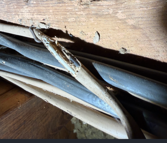 I thoroughly inspected the electrical panel, checking buss bars and OCODs for faults, burns, and hazards. I ensured safety and compliance, providing a detailed assessment of the system.