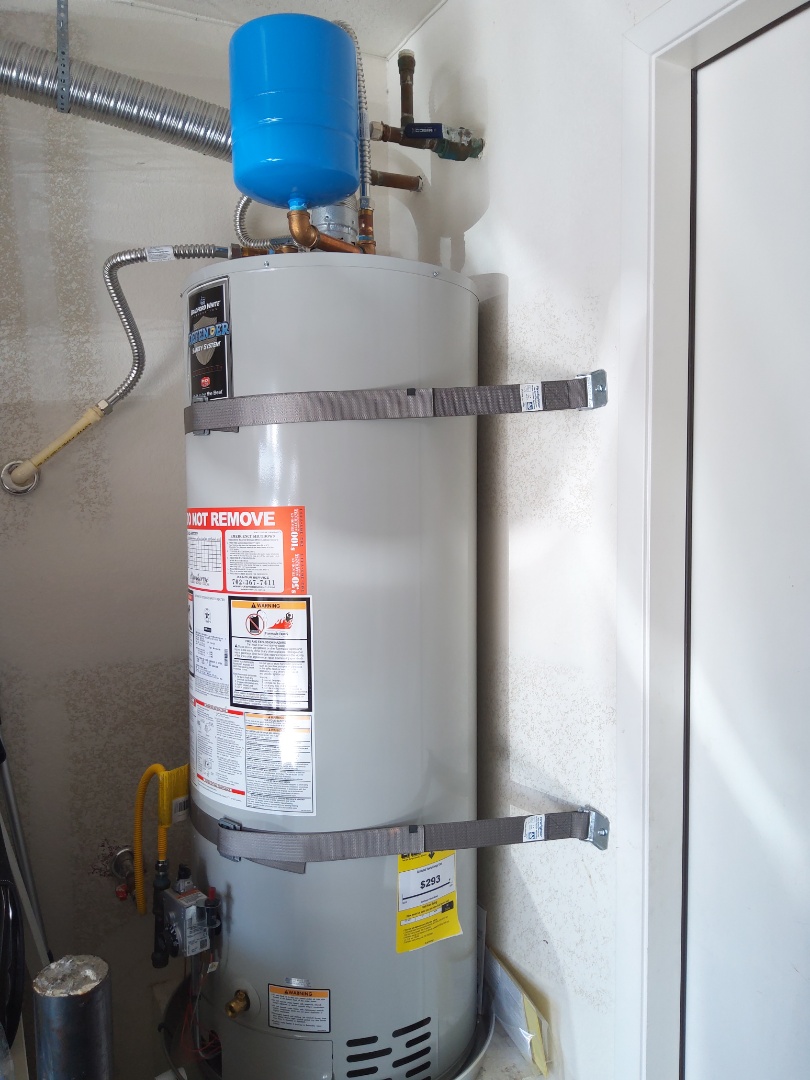 Water heater flush