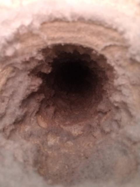 Scottsdale, AZ - CONCERN: Dryer takes too long to dry clothes, dryer does get hot though. DIAGNOSTIC AND CAUSE: Tested dryer for proper heater element operation. Heater operation is normal. Inspected heater thermostat operation for short cycling condition, thermostat is short cycling. Inspected dryer air flow at the duct flume, air flow is normal at this time, no signs of flow restriction. Cause, Wall vent clogged with lint. CORRECTION: Performed dryer vent cleaning, tested for restrictions, operation now norma. Shea/101 In Scottsdale Scottsdale, AZ - CONCERN: Dryer takes too long to dry clothes, dryer does get hot though. DIAGNOSTIC AND CAUSE: Tested dryer for proper heater element operation. Heater operation is normal. Inspected heater thermostat operation for short cycling condition, thermostat is short cycling. Inspected dryer air flow at the duct flume, air flow is normal at this time, no signs of flow restriction. Cause, Wall vent clogged with lint. CORRECTION: Performed dryer vent cleaning, tested for restrictions, operation now norma. Shea/101 In Scottsdale