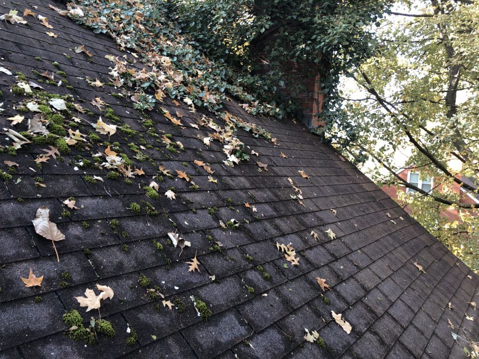 Lexington, KY -
Free roof inspection from top rated number one roofing contractor and roofing company in the Lexington and Versailles and Richmond and Nicholasville area! Homeowner has damage to their roof and shingles due to wind and or hail from recent storms and severe weather. Filing claim with insurance carrier to get insurance to pay for and buy a new roof for happy homeowners. Lexington, KY -
Free roof inspection from top rated number one roofing contractor and roofing company in the Lexington and Versailles and Richmond and Nicholasville area! Homeowner has damage to their roof and shingles due to wind and or hail from recent storms and severe weather. Filing claim with insurance carrier to get insurance to pay for and buy a new roof for happy homeowners.