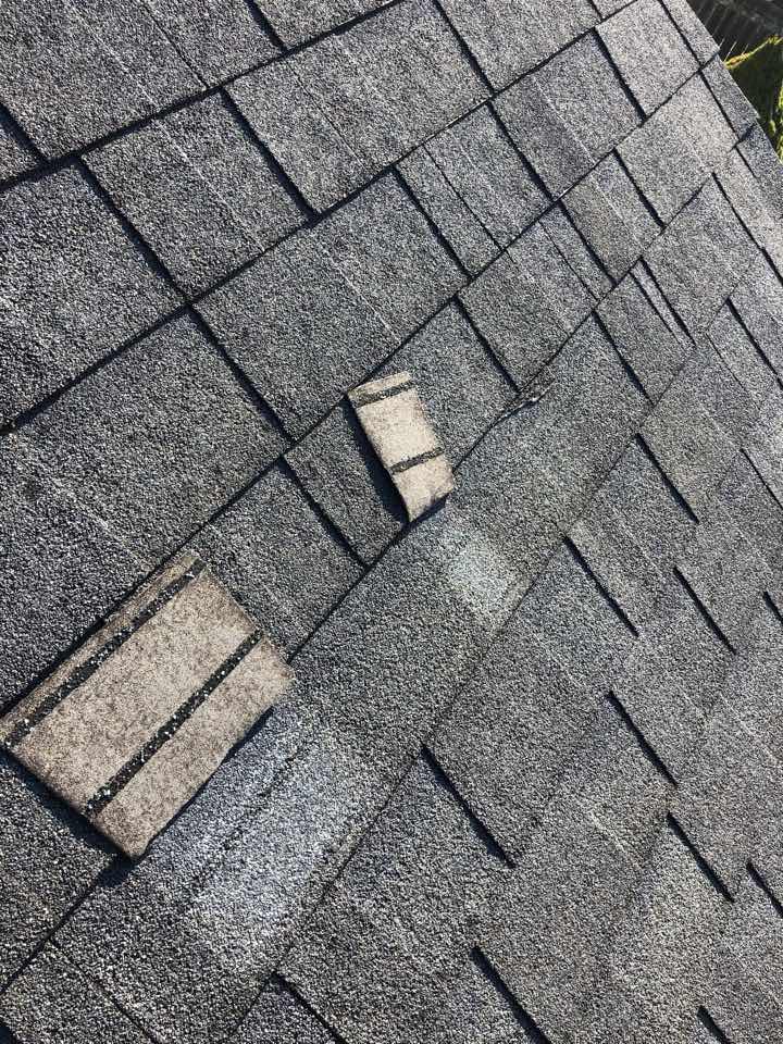 Lexington, KY -
Free roof inspection from top rated number one roofing contractor and roofing company in the Lexington and Versailles and Richmond and Nicholasville area! Homeowner has damage to their roof and shingles due to wind and or hail from recent storms and severe weather. Filing claim with insurance carrier to get insurance to pay for and buy a new roof for happy homeowners.
Lexington, KY -
Free roof inspection from top rated number one roofing contractor and roofing company in the Lexington and Versailles and Richmond and Nicholasville area! Homeowner has damage to their roof and shingles due to wind and or hail from recent storms and severe weather. Filing claim with insurance carrier to get insurance to pay for and buy a new roof for happy homeowners.