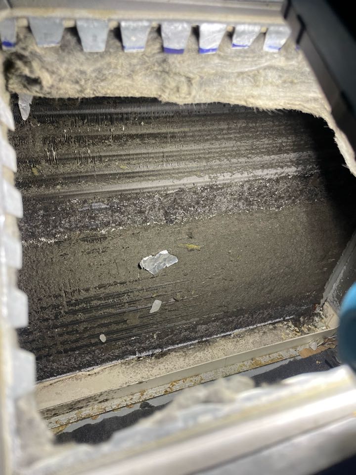 American standard coil cleaning