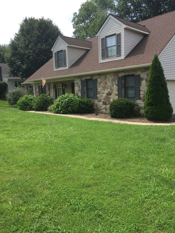 Hockessin, DE - Mastic Almond gutter and spout with Mastic Leaf Relief Hockessin, DE - Mastic Almond gutter and spout with Mastic Leaf Relief