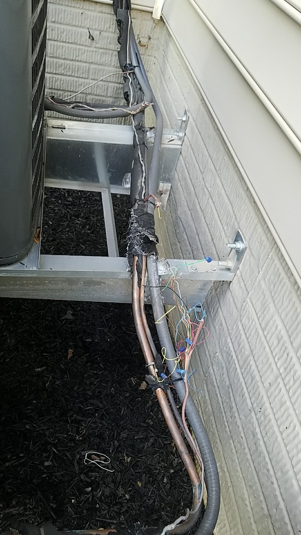 Repaired damaged wire and insulation from owners dog.