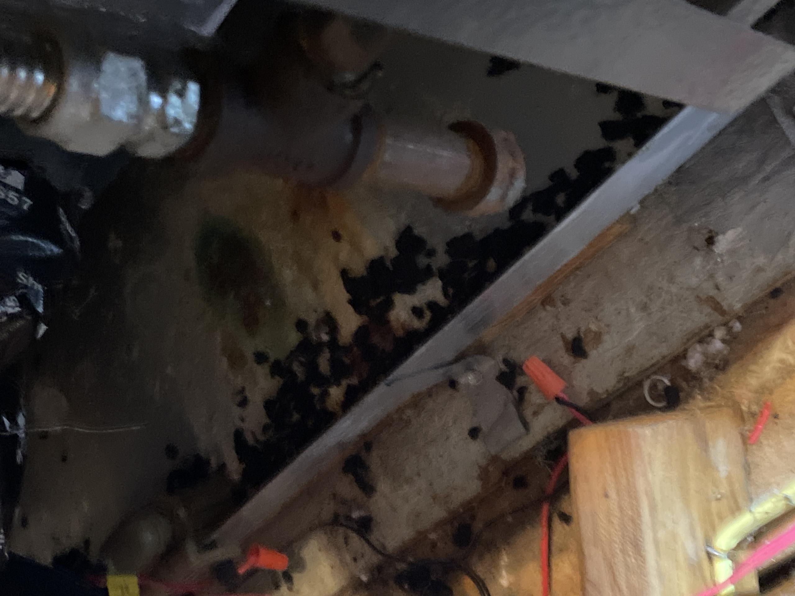 Porter, TX - Also changed media filter and poured bleach down drain line Porter, TX - Also changed media filter and poured bleach down drain line