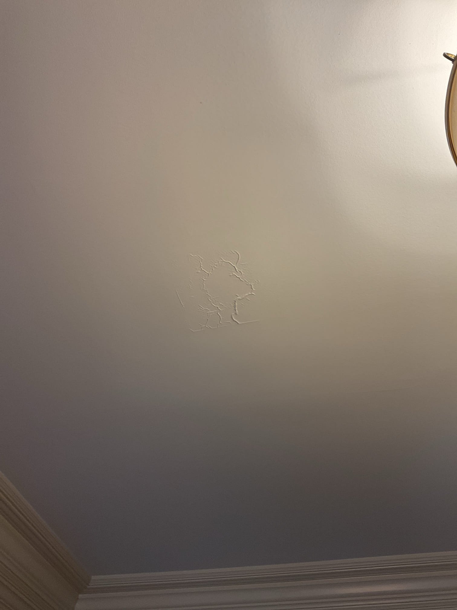 Upon arrival, the homeowner pointed out a ceiling area that had previously leaked. Visual inspection confirmed signs of a past leak. The homeowner noted that the shower had not been used for two weeks, while the toilet continued to be used without issue. During our initial evaluation, we ran the tub faucet and shower head for 10 minutes each with no signs of leakage. We also poured water using a pitcher over all finished cover plates, including the tub spout, shower trim, waste, and overflow plates, for several minutes—again observing no leaks through the ceiling below.

To continue diagnostics, we performed a drainage leak test by cutting a 16” x 16” access opening in the ceiling for proper inspection. Through this access, we determined the waste and overflow assembly to be the source of the leak. Upon removal of the cover plate, we found the three screws compressing the gasket to be extremely loose. We tightened all screws, reinstalled the cover plate, and applied silicone around the