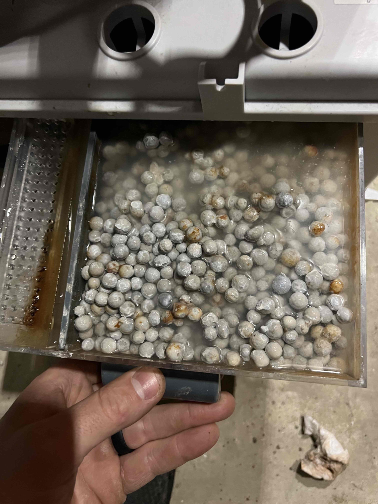 Performed annual tune-up on a Goodman propane furnace. Cleaned the burners, heat exchanger, igniter, flame sensor, neutralizer, condensate trap, and pump. Checked all safety controls, venting, fans, and overall furnace operation. Bubble-tested the gas line and checked carbon monoxide levels — no leaks detected. 

The burners on the furnace are rusty and I recommend that they be replaced. With customer approval we ordered the parts and will call to schedule.

Performed annual tune up on a Viessmann propane boiler. Cleaned the burner, heat exchanger, igniter, flame sensor, and condensate trap. Inspected combustion, safety controls, relief valve, expansion tank, venting, and overall hydronic system operation. Performed a bubble test on the gas line and checked CO levels—no leaks detected. 

Verified operation and systems are working properly at this time.