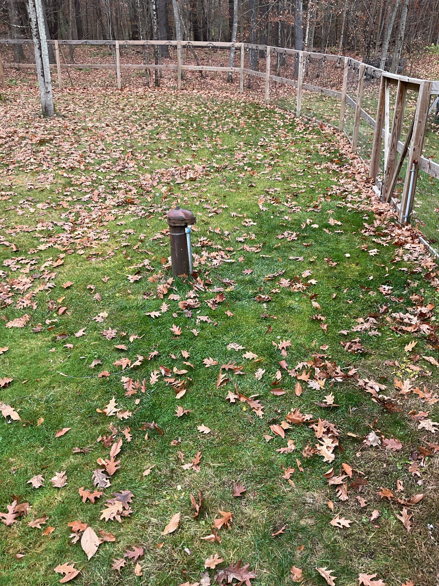 The shower, which had been dripping for approximately six months since installation, was inspected and serviced. At the customer’s request, we replaced the customer-supplied shower cartridge. A water test was conducted, and the results will be provided via email along with estimates for the water filtration system and well pump. Upon completion, the shower was tested, and all operations are functioning properly with no leaks present.