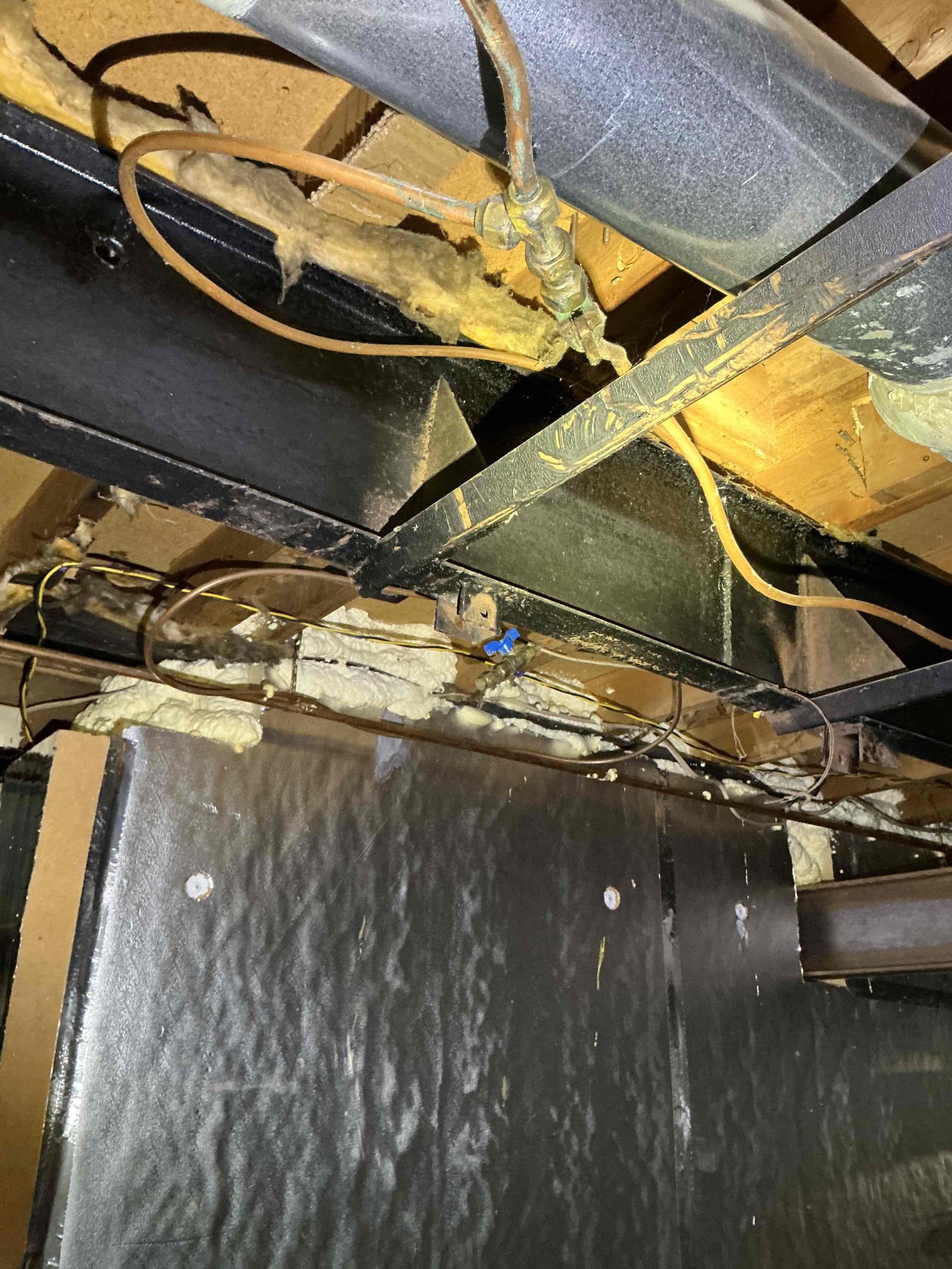 Looked at installing rinnai heater in living room 