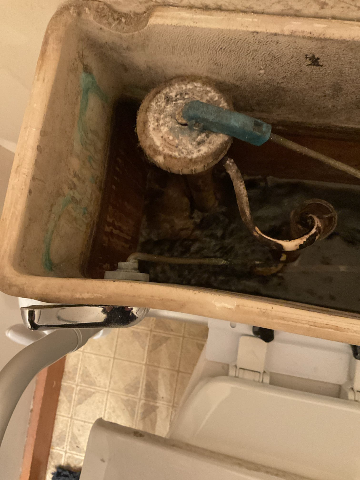 Replaced toilet handle in downstairs toilet and tightened it so it would no longer catch on the bowl fill tube and stay going straight up and down. Upstairs toilet Mansfield flush gasket was replaced. Initial replacement did not work and it still leaked. Replaced a 2nd time with another new gasket and it successfully created a water tight seal. Also flushed out access sediment in the tank 