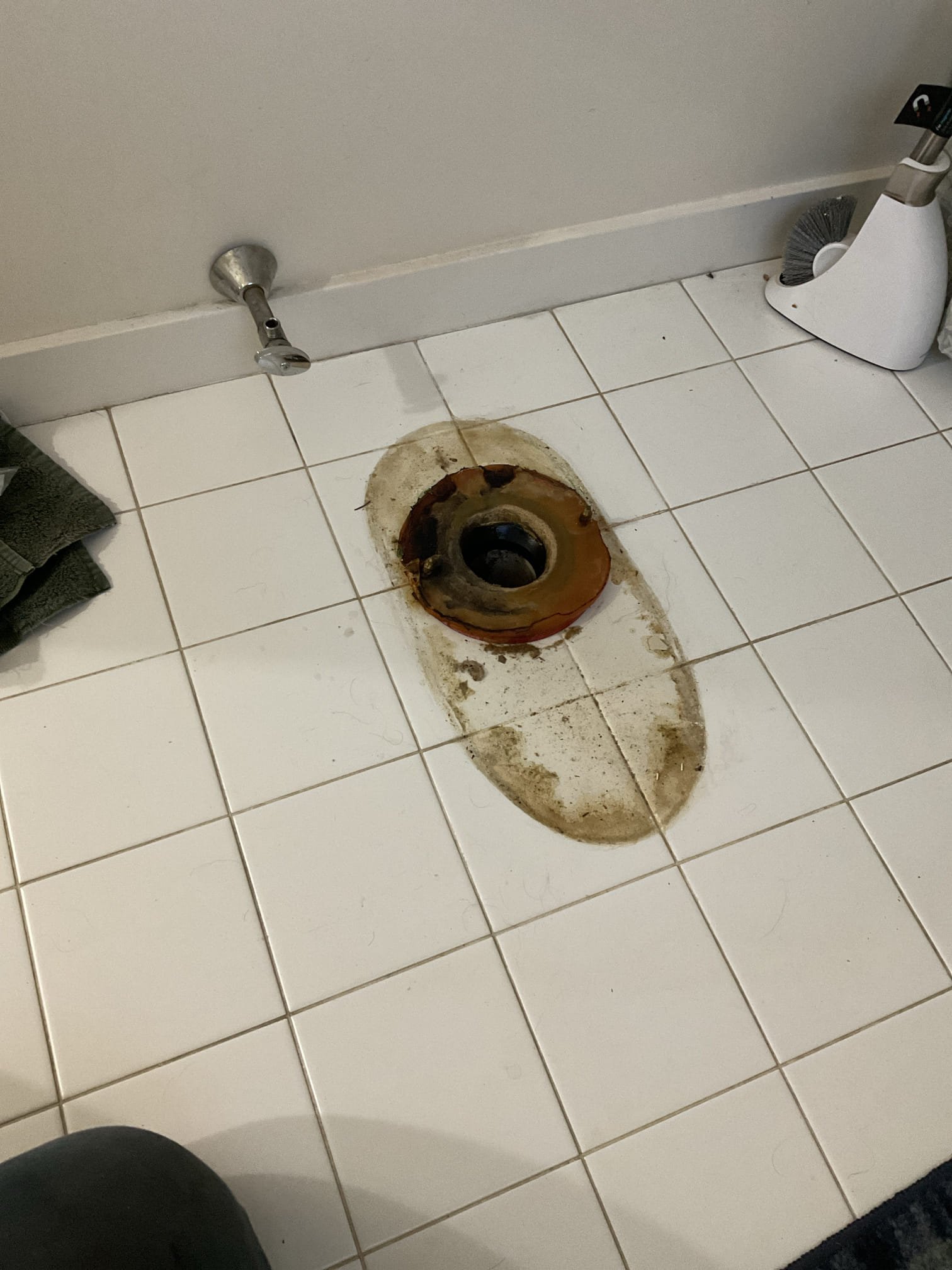 -The existing toilet was aged and no longer flushing properly. We recommend replacement to restore optimal flushing performance and ensure reliable, trouble-free operation.
-The old toilet was removed and properly disposed of. The toilet flange was inspected and found to be in good condition. The shutoff valve was leaking past and from packing nut; the internal components were replaced to correct the issue.
-A new American Standard Cadet Pro White ADA-height toilet was installed using new toilet bolts, a wax ring, and a toilet supply line. The water was turned on and the system was tested, confirming proper operation with no leaks observed. A bead of caulking was applied around the base of the toilet to enhance stability and facilitate cleaning.